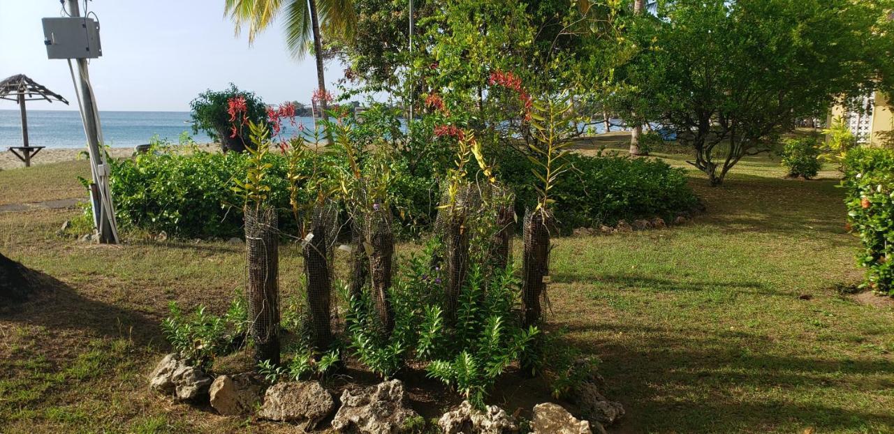 Отель Starfish Tobago Black Rock Экстерьер фото