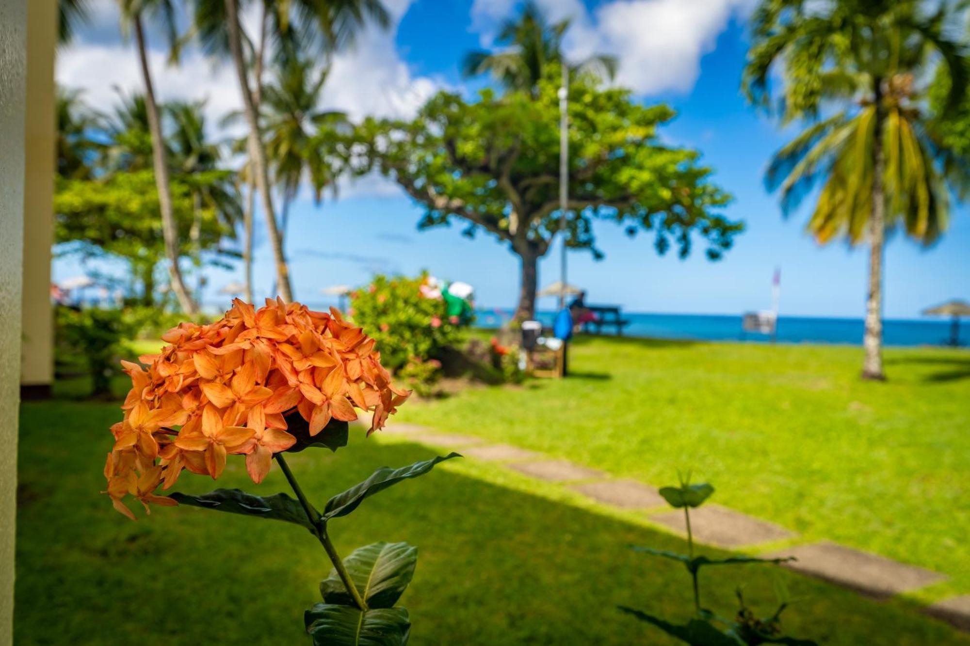 Отель Starfish Tobago Black Rock Экстерьер фото
